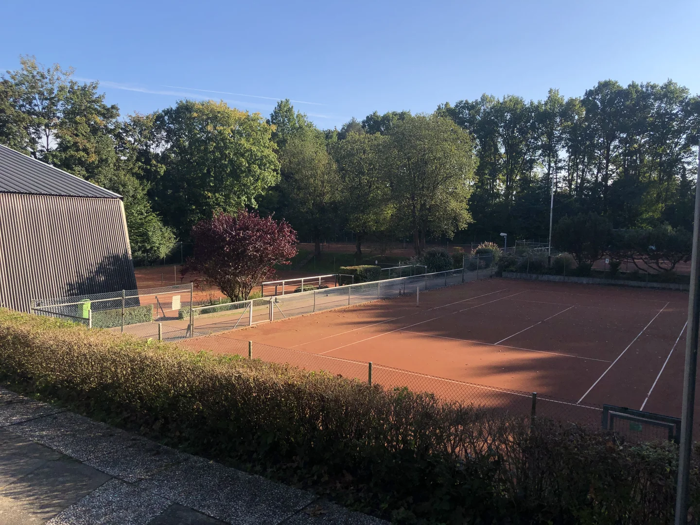 Tennis spielen in Harburg beim SV Grün-Weiss Harburg